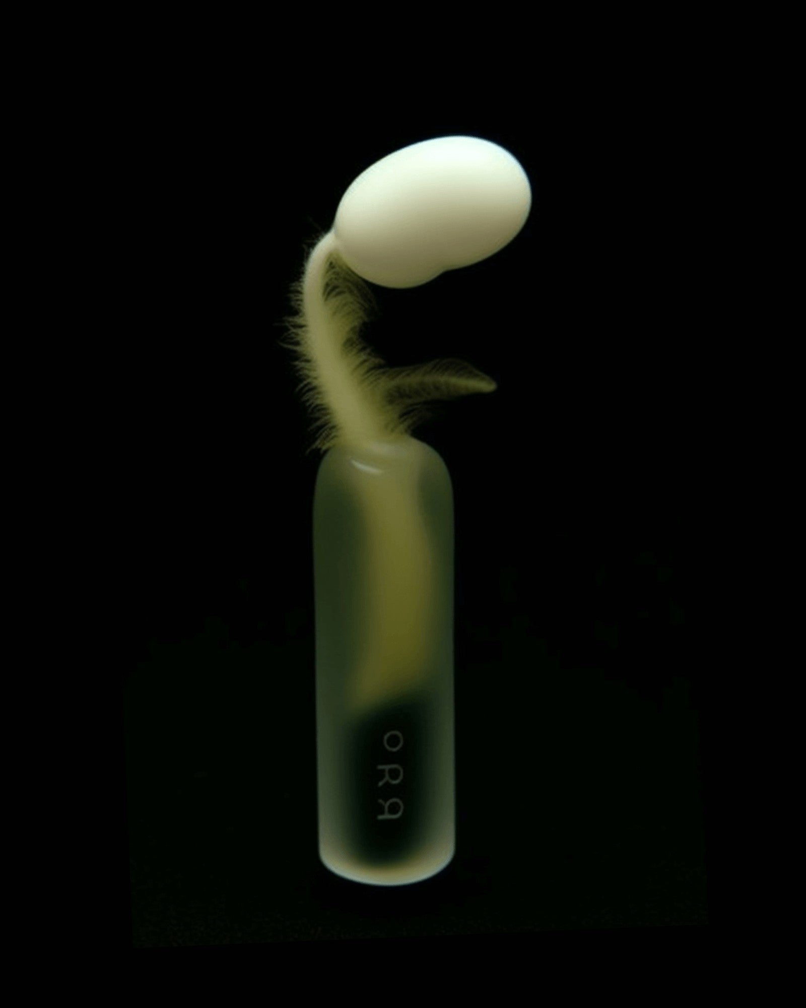 Condoms